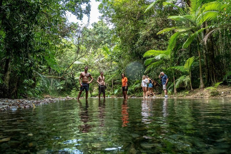 Daintree Rainforest Day Tour From Port Douglas - Mossman Gorge: the walk worth slowing down for