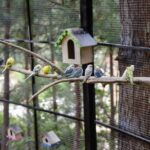 Dalat Wonderland Theme Park Ticket - What admission covers, and what it does not