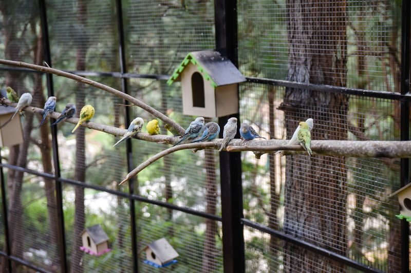 Dalat Wonderland Theme Park Ticket - What admission covers, and what it does not