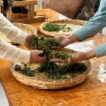 Dali Cangshan Tea Picking and Making Intangible Cultural Heritage Study Tour Experience - Picking leaves and making green tea