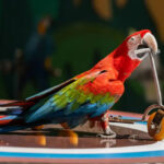 Dalian Laohutan Ocean Park - Look for polar animals in the Polar Pavilion