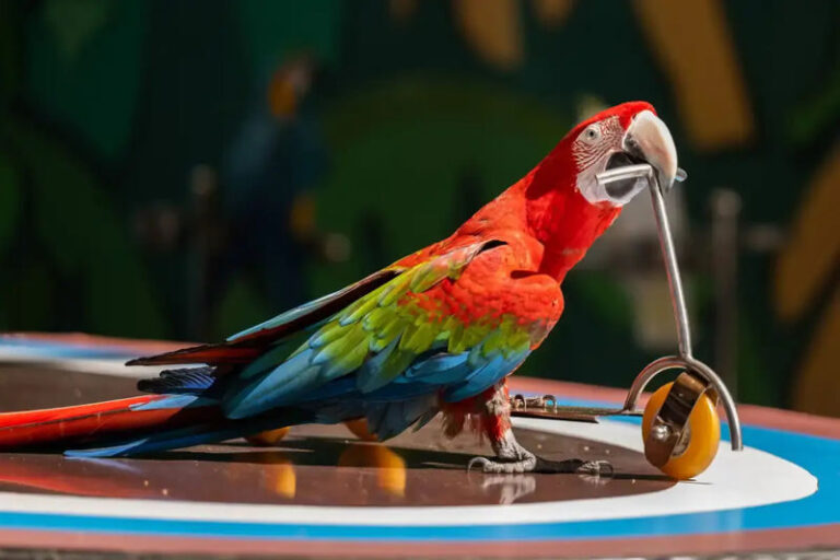 Dalian Laohutan Ocean Park - Look for polar animals in the Polar Pavilion