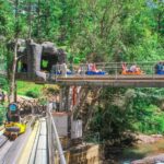 Datanla New Alpine Coaster Experience in Da Lat - A waterfall stop in the middle