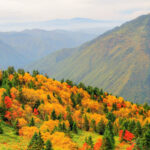 Day Tour fm Takayama: Alpine Splendor Shinhotaka Ropeway & Kamikochi - Starting at Takayama Station