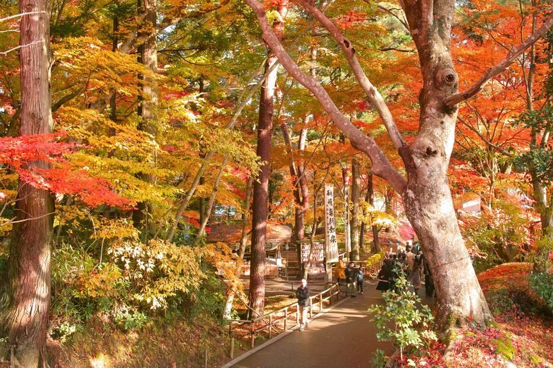 Day Trip from Sendai: Chuson-ji Temple Konjikido & Geibikei Gorge Cruise (Special Lunch Included) - Chuson-ji and Konjikido: the history-focused stop