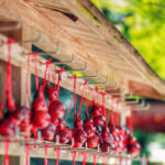 Dazaifu Tenmangu & Yanagawa Full-Day Boat Experience - Dazaifu Tenmangu: a shrine stop with room to look around