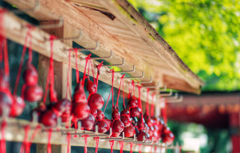 Dazaifu Tenmangu & Yanagawa Full-Day Boat Experience - Dazaifu Tenmangu: a shrine stop with room to look around