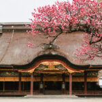 Dazaifu Tenmangu & Yufuin Old Town Full-Day Tour - Dazaifu Tenmangu: the first named stop