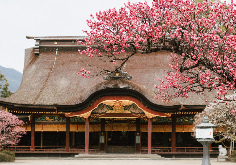 Dazaifu Tenmangu & Yufuin Old Town Full-Day Tour - Dazaifu Tenmangu: the first named stop