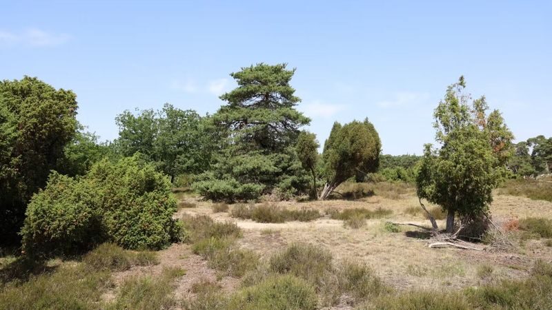 De Hoge Veluwe National Park ticket in Otterlo - Starting at one of three entrances
