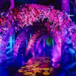 Delight Park Ticket in Dalat - After dark: light tunnels and Celestial Wonderland