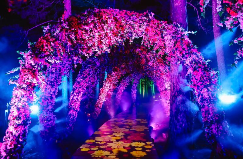 Delight Park Ticket in Dalat - After dark: light tunnels and Celestial Wonderland