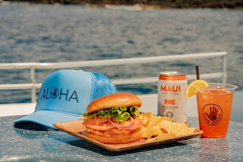 Deluxe Snorkeling & Dolphin Watching Experience in the Big Island - The catamaran makes the outing feel like a day trip