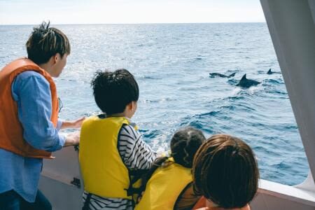 Depart from Kumamoto: Amakusa Wild Dolphin Watching and Juicy Burger Set - The morning bus from Kumamoto