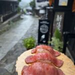 Departing from Nagoya: Chubu Shoryudo - Tsumago-juku & Magome-juku & Ryujin Waterfall Tour - The Nakasendo walk: Magome to Tsumago on foot