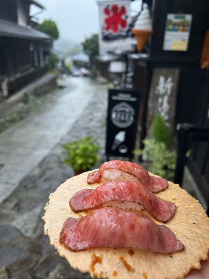 Departing from Nagoya: Chubu Shoryudo - Tsumago-juku & Magome-juku & Ryujin Waterfall Tour - The Nakasendo walk: Magome to Tsumago on foot