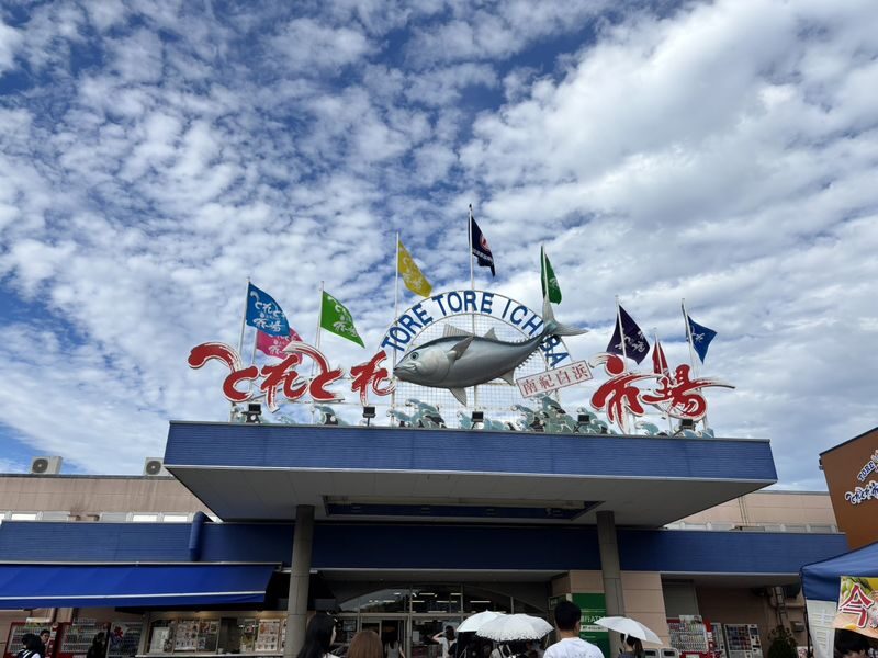 Departing from Osaka Namba: Wakayama Shirahama One-Day Tour: Wakayama Castle-Toretore Market-Shirahama Beach-Sandanbeki Cliffs-Senjojiki - Wakayama Castle: a historic opening stop