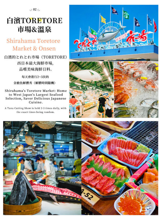 (Departing from Osaka) Wakayama Shirahama Day Trip: Cat Stationmaster Kishi Station & Toretore Seafood Market & Senjojiki Coast Scenic View - Toretore Market: seafood, snacks, and souvenirs