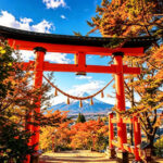 Departing from Tokyo: Full-Day Sightseeing Tour of Mount Fuji and Lake Kawaguchiko - Lake Yamanaka brings swans into the picture