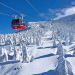 Departing from Tokyo: Ginzan Onsen, Zao Snow Monsters, Fox Village, and Hot Spring Ryokan Two-Day Tour - Ginzan Onsen: beautiful, but a tight window
