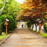 Departing from Tokyo - Mount Fuji Five Major Attractions Small Group Day Tour - Chureito Pagoda and the Fuji view