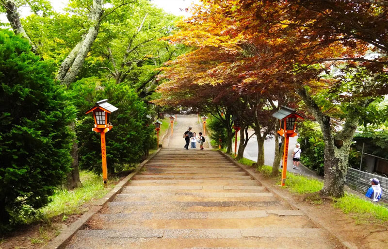 Departing from Tokyo - Mount Fuji Five Major Attractions Small Group Day Tour - Chureito Pagoda and the Fuji view