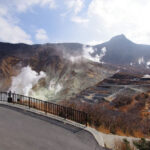 Departing from Tokyo: Mount Fuji Hakone Day Trip - Owakudani Ropeway, Hakone Shrine, Nichikawa Clock Shop, Arakurayama Sengen Park - Lake Ashi by pirate ship or bus