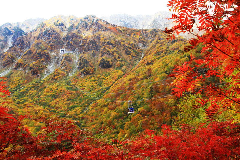 Departure from Tokyo: Tateyama Kurobe 3-Day Tour: Limited-Time Snow Wall Otani & Shirakawa-go Gassho-style Village & Hida-Takayama & Matsumoto Castle (Hot Spring Ryokan Stay) - Day two: six ways across the Tateyama Kurobe Alpine Route