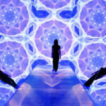 Digital National Art Museum Ticket in Manila - The rooms: flowers, light, and changing moods
