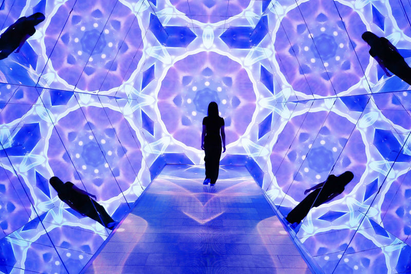 Digital National Art Museum Ticket in Manila - The rooms: flowers, light, and changing moods