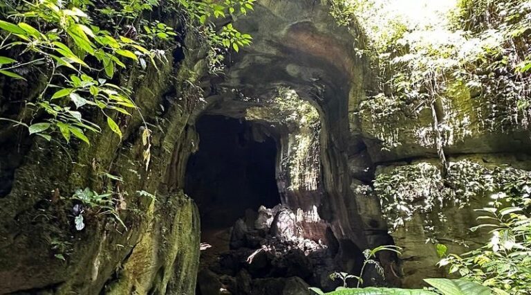 Discover Bukit Lawang Leuser National Park from Medan - From Bukit Lawang Bridge to the forest