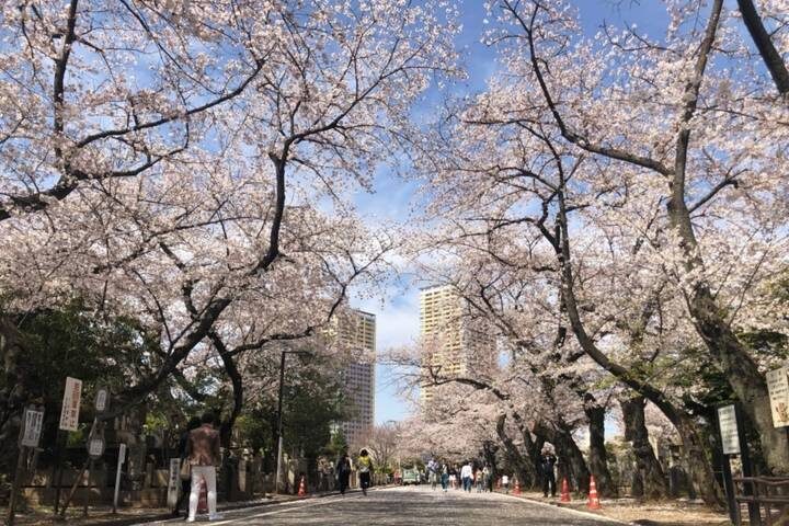 Discover Japan on a Budget: 8-Day Ultimate Starter by Vio Travel - Day 1: Narita to Tokyo, with a train ticket to exchange
