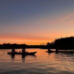 Discover Magic on Aucklands Original Bioluminescence Kayak Tour - How the sunset-to-darkness timing shapes the trip