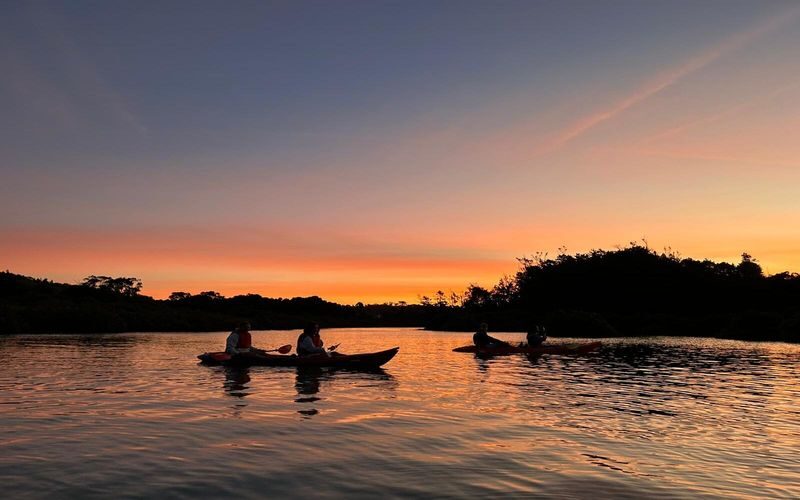 Discover Magic on Aucklands Original Bioluminescence Kayak Tour - How the sunset-to-darkness timing shapes the trip
