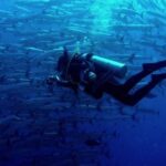 Discover Scuba Diving Experience in Semporna Island - From the 8:00 am meeting to the return boat