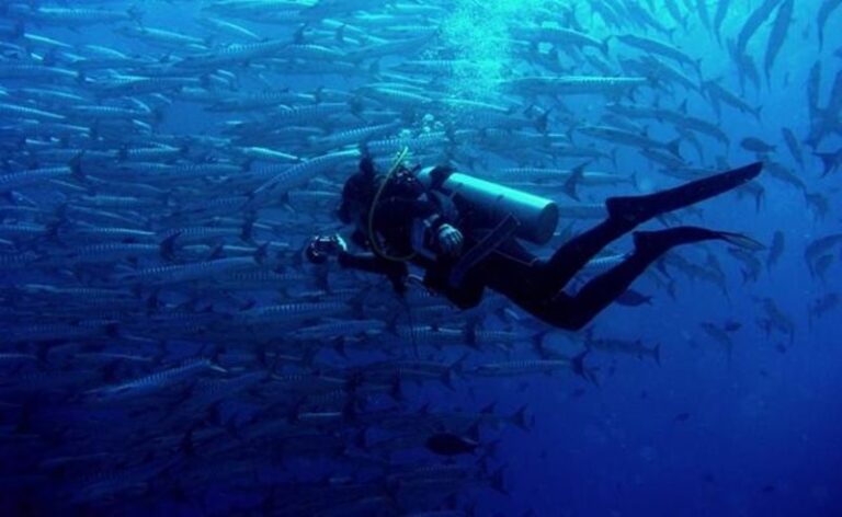 Discover Scuba Diving Experience in Semporna Island - From the 8:00 am meeting to the return boat