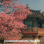 Discover Seoul Pass - Choose between Pick 3 and unlimited entry