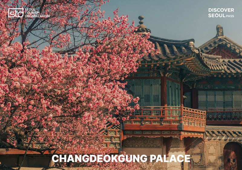 Discover Seoul Pass - Choose between Pick 3 and unlimited entry