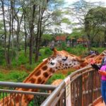 Discover the Wonders of Nguuni Nature Wildlife Sanctuary. - Following the trails at your own pace