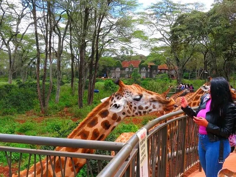 Discover the Wonders of Nguuni Nature Wildlife Sanctuary. - Following the trails at your own pace