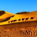 Discovering Dunhuang, Gansu | In-depth Day Trip to Mogao Grottoes + Mingsha Mountain Crescent Spring (Private Group + Optional Chinese/English Guide) - Sand, wind and Crescent Spring at Mingsha Mountain