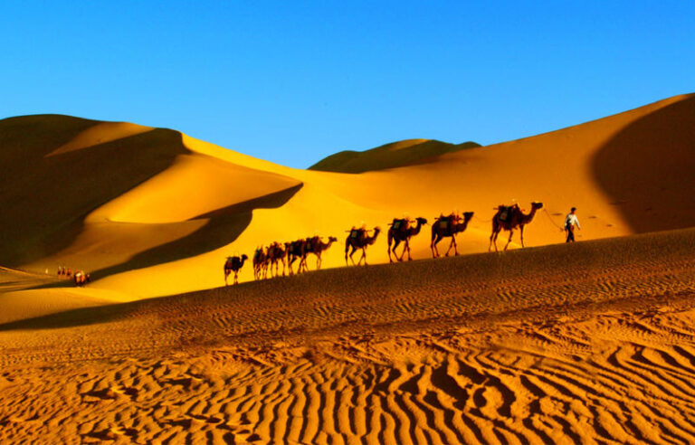 Discovering Dunhuang, Gansu | In-depth Day Trip to Mogao Grottoes + Mingsha Mountain Crescent Spring (Private Group + Optional Chinese/English Guide) - Sand, wind and Crescent Spring at Mingsha Mountain