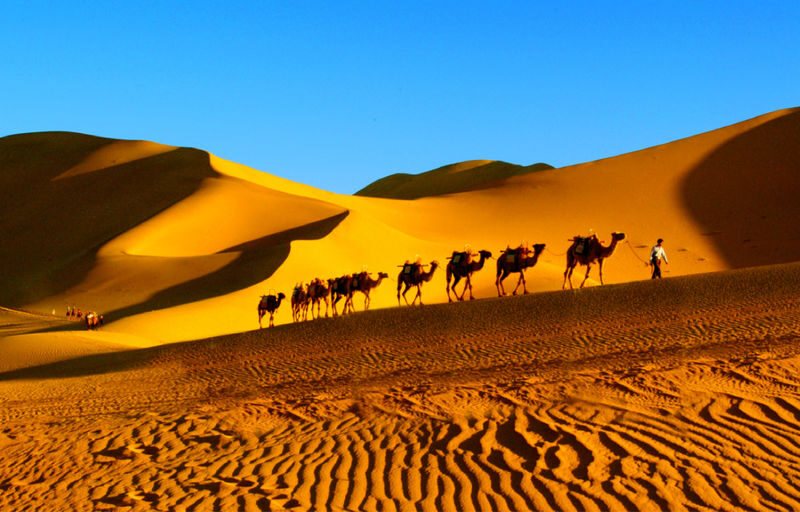 Discovering Dunhuang, Gansu | In-depth Day Trip to Mogao Grottoes + Mingsha Mountain Crescent Spring (Private Group + Optional Chinese/English Guide) - Sand, wind and Crescent Spring at Mingsha Mountain
