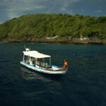 Discovery Scuba Dive or Fun Dive in Nusa Penida by Dune Penida - What the two ocean sessions involve