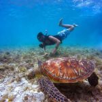 Discovery Scuba Diving for Beginners in Dubai - From the briefing room to the water