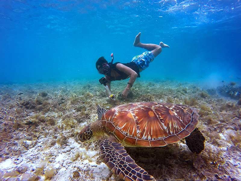 Discovery Scuba Diving for Beginners in Dubai - From the briefing room to the water
