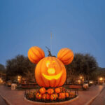 Disneyland California Ticket - Make a ride plan, not a checklist