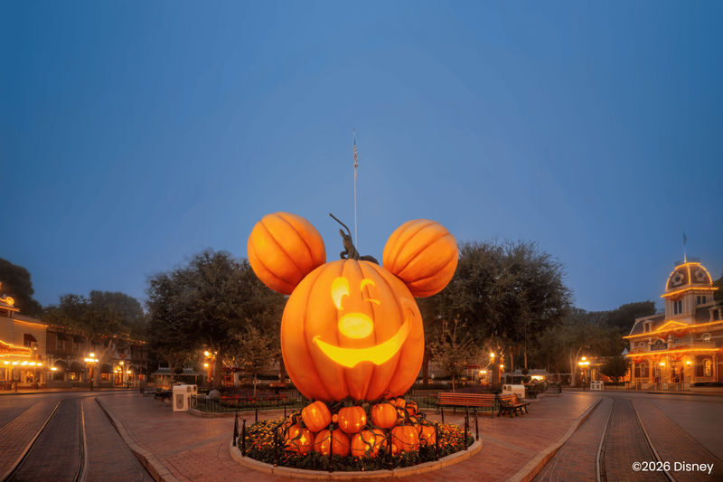 Disneyland California Ticket - Make a ride plan, not a checklist