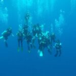 Diving Experience by SSI Czone Dive Center in Koh Tao - What the day’s schedule means in practice
