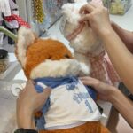 DIY Plushy Workshop by OLO Studio in Penang - Filling and finishing your new friend